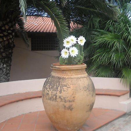 Hotel Villaggio Cala Di Volpe Капо-Ватикано Экстерьер фото